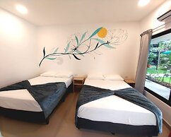 Wide Mouth Frog At Quepos