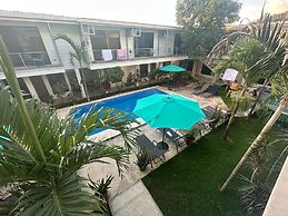 Wide Mouth Frog At Quepos