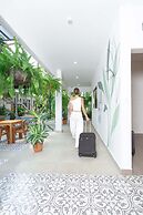 Wide Mouth Frog At Quepos