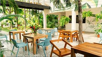 Wide Mouth Frog At Quepos