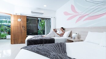 Wide Mouth Frog At Quepos