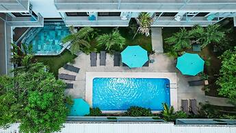 Wide Mouth Frog At Quepos