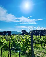 Agriturismo Podere La Fornace