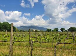 Agriturismo Podere La Fornace