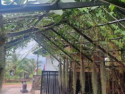 Coconut Paradise Bungalow Kampot