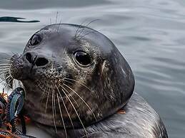 13 Person Holiday Home in Songesand