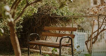 OliveTreeHostel