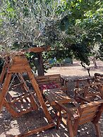 OliveTreeHostel