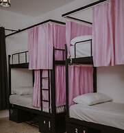 OliveTreeHostel