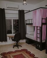 OliveTreeHostel