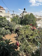 OliveTreeHostel