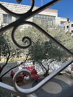 OliveTreeHostel