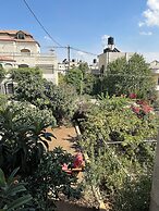 OliveTreeHostel