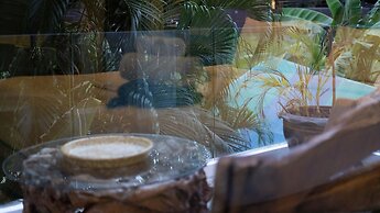 New Primrose Pool Villa Your Own Secluded Paradise