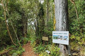 Waitutu Forest Lodge