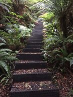 Waitutu Forest Lodge