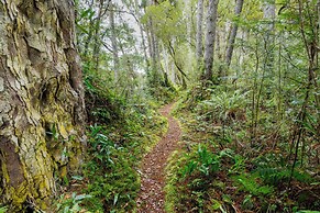 Waitutu Forest Lodge