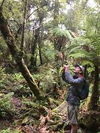 Waitutu Forest Lodge