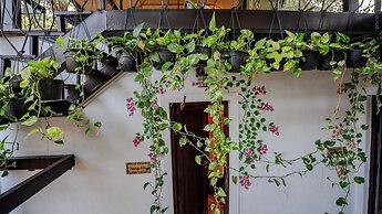 Brij Paraiso Saligao