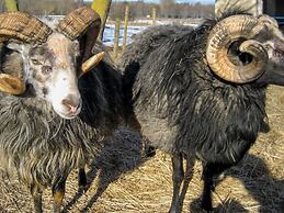 5 Person Holiday Home in Stenkyrka