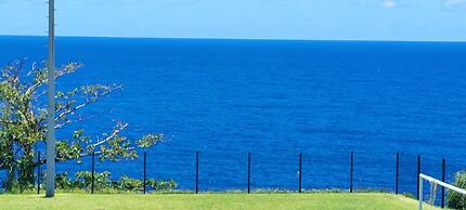 The Palm Trees Restaurant and Rooms