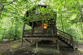 Adventures on the Gorge