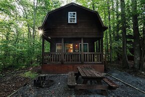 Adventures on the Gorge