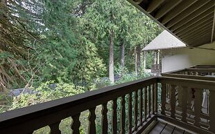 Mt Baker Lodging Condo - Perfect for Smaller Families on the Go