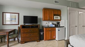 Lasata 3505- Grand Sand Dollar