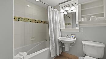 Lasata 3505- Grand Sand Dollar