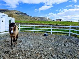 Cozy Little Cottage In The Golden Circle