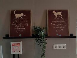 Cozy Little Cottage In The Golden Circle