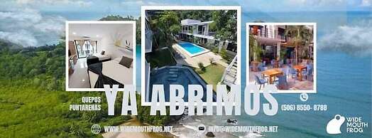 Wide Mouth Frog Hotel