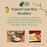 Wide Mouth Frog Hotel