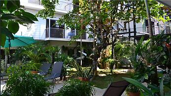 Wide Mouth Frog Hotel