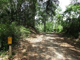 Suwannee River Rendezvous