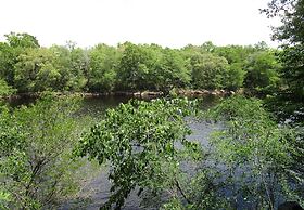 Suwannee River Rendezvous