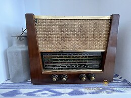 Spacious Villa With Garden