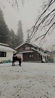 WATERFRONT PINE PAHALGAM