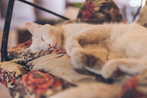 Hostel Pura Vida Mae