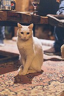 Hostel Pura Vida Mae