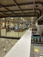 THE PARADISE KINGDOM