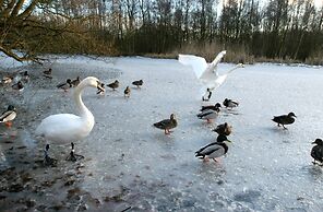 Gentofte Cozy Private Apartment