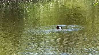 Gentofte Cozy Private Apartment