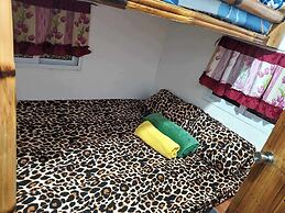 Room-aremen Transient, the no Hassle and