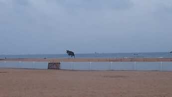 La Manga Luxury Beach Villas