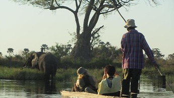 Bushemen Plains Camp-Wild Map Safaris