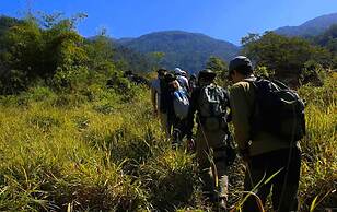 Maple Leaf Ecovillage Camping & Reserve