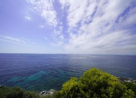 Apartment in Roses With Balcony
