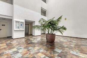 Charming Apartment With Patio